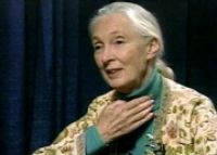 Jane Goodall 4/15/07